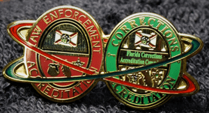 Dual Logo Lapel Pins